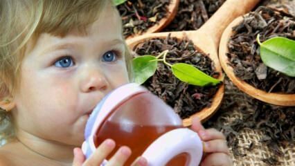האם תינוקות יכולים לשתות תה?