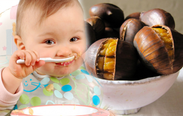 Saraçoğlu הסביר את היתרונות של הערמון! תינוק בן כמה חודשים יכול לאכול ערמונים? האם הערמון מייצר גז בתינוק?