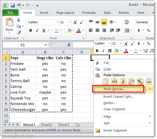 הדבק פונקציה מיוחדת של Excel 2010