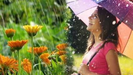 האם גשם אפריל מחלים? מהן התפילות לקריאה במי הגשמים? היתרונות של גשם באפריל
