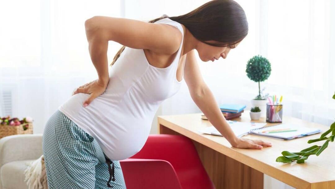כאבי גב במהלך ההריון