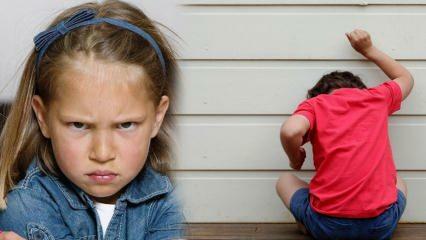 איך מתמודדים עם בעיית כעס אצל ילדים? גורם לכעס ותוקפנות אצל ילדים 