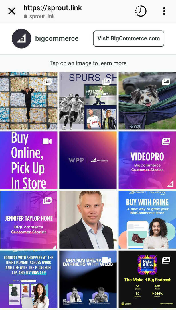 use-party-third-link-in-bio-app-or-custom-landing page-brand-needs-interactive-grid-9