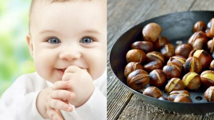 Saraçoğlu הסביר את היתרונות של הערמון! תינוק בן כמה חודשים יכול לאכול ערמונים? האם הערמון מייצר גז בתינוק?