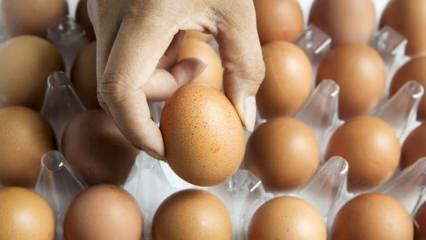 עצות מעשיות לשמירה על ביצים טריות
